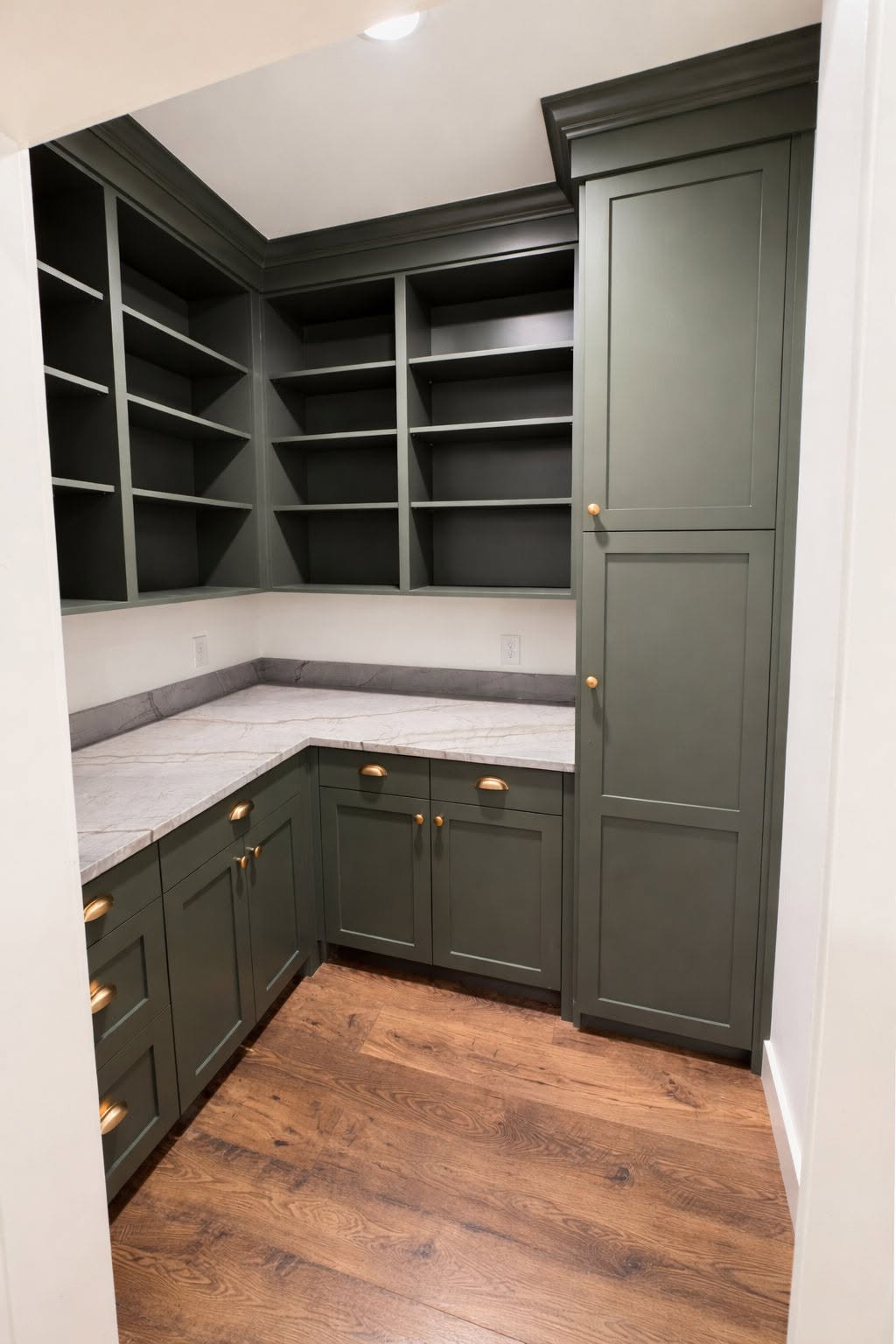 Gold cup pulls and knobs on dark green pantry cabinet drawers and doors