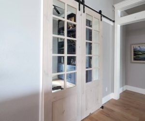 Barn door 5